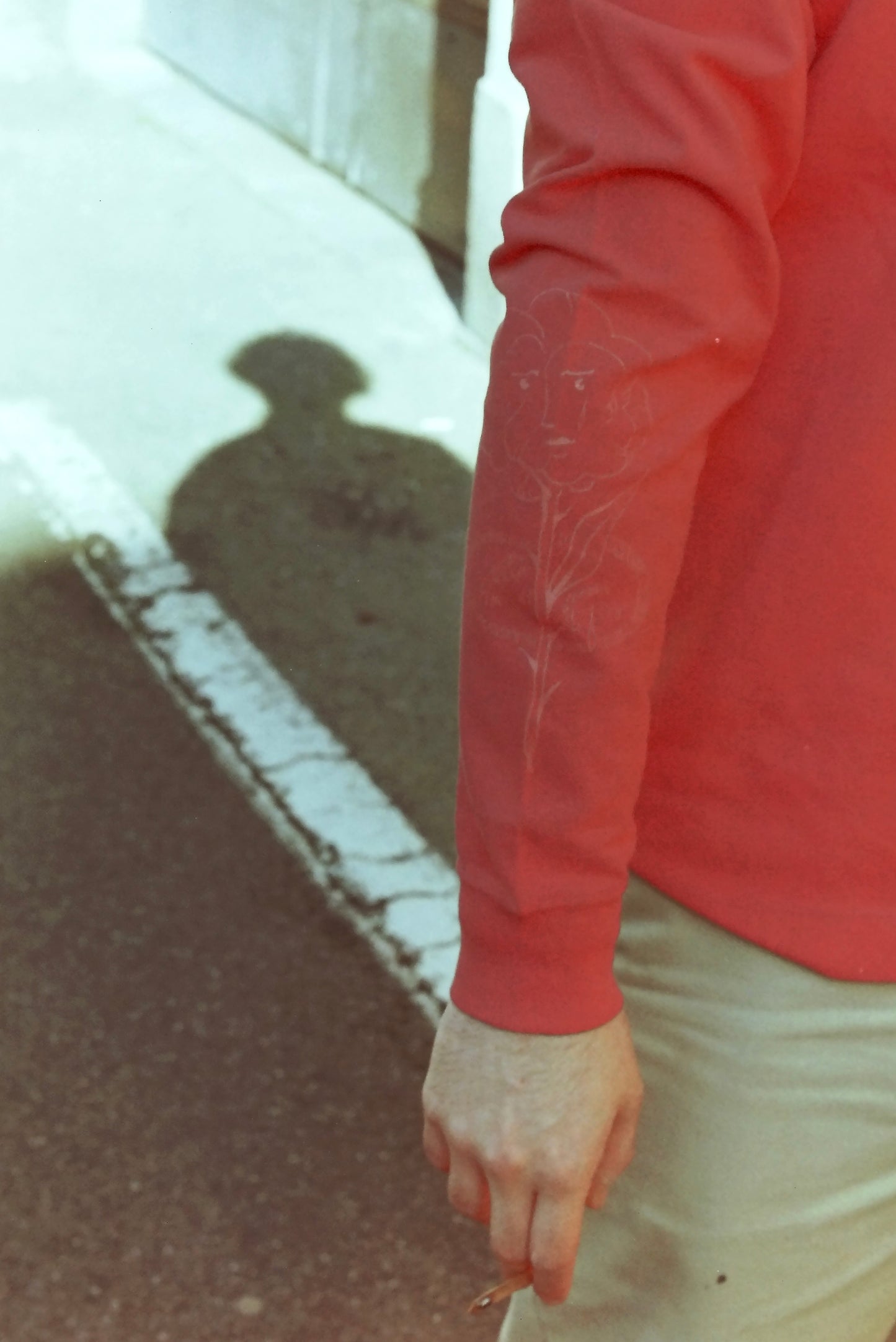 BDC Polo